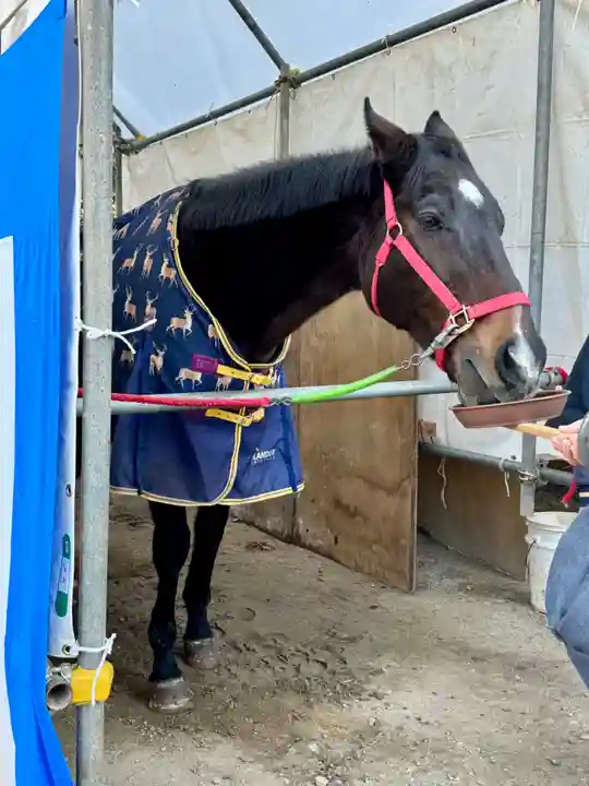 藤森神社(京都府)