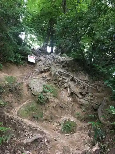 三佛寺の建物その他