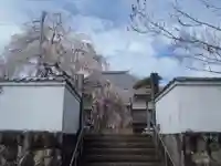 金剛寺(愛知県)