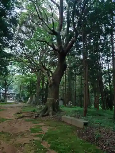 六嶽神社(下社)(福岡県)