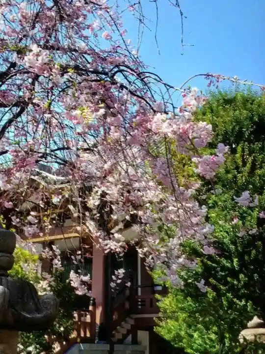 最勝寺(東京都)