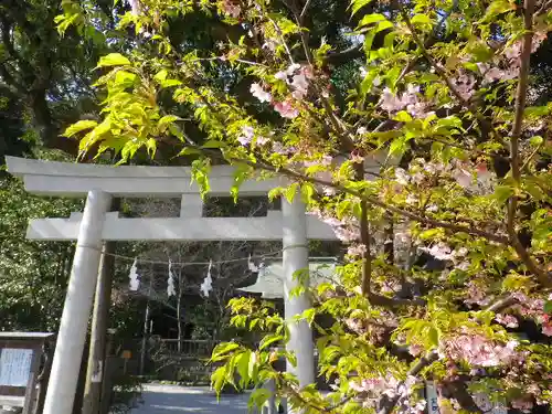 御霊神社の鳥居