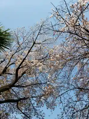 東光寺(東京都)