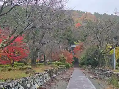 酒波寺(滋賀県)