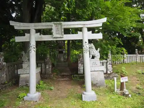 大川神社の鳥居