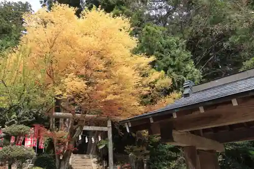 鹿島大神宮の鳥居