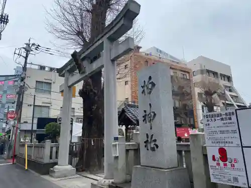 柏神社(千葉県)