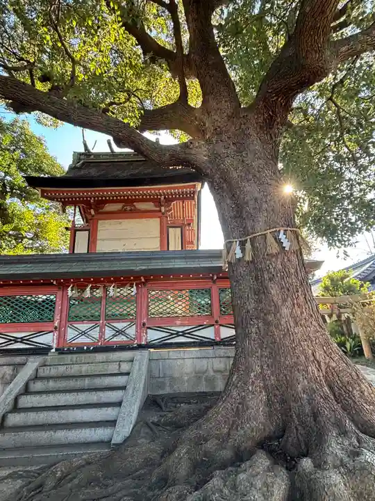 生根神社(大阪府)