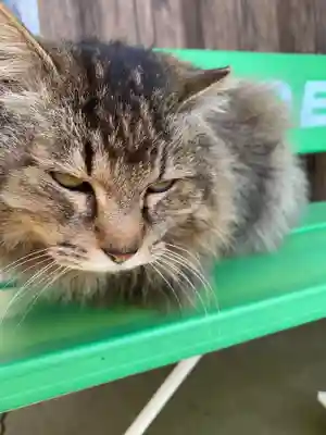 唐澤山神社(栃木県)