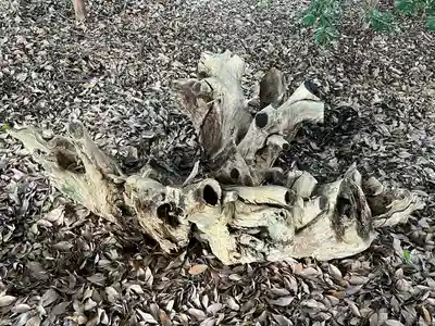 手力雄神社(岐阜県)