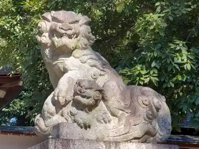 八雲氷川神社の狛犬