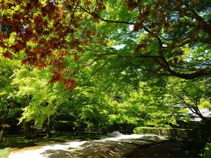 明月院(神奈川県)