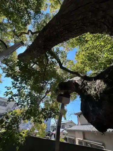 三島神社の{uncategorized: "未分類", other: "その他", undefined: "問題あり", building: "その他建物", grave: "お墓", sacred_gate: "鳥居", guardian: "狛犬", statue: "像", buddha: "仏像", history: "歴史", nature: "自然", garden: "庭園", animal: "動物", pagoda: "塔", temizu: "手水舎", mountain_gate: "山門・神門", sanctuary: "本殿・本堂", subordinate: "末社・摂社", art: "芸術", scenery: "景色", jizo: "地蔵", ema: "絵馬", goshuin: "御朱印", omikuji: "おみくじ", items: "授与品その他", amulet: "お守り", goshuincho: "御朱印帳", eats: "食事", festival: "お祭り", votive_dance: "神楽", shichigosan: "七五三参", wedding: "結婚式", experience: "体験その他", initially: "初詣", around: "周辺", anti_infection: "感染症対策"}