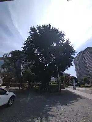 磐井神社(東京都)