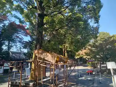 水無瀬神宮(大阪府)