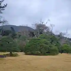 伊勢神宮内宮（皇大神宮）の自然