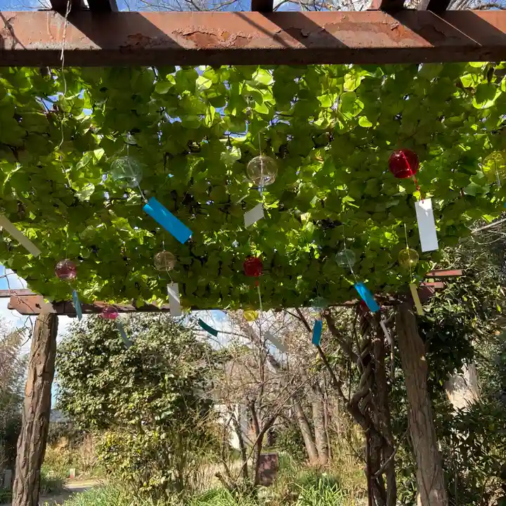 般若寺 ❁コスモス寺❁(奈良県)