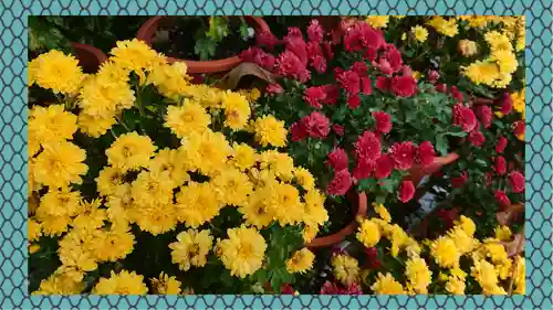 笠間稲荷神社(茨城県)