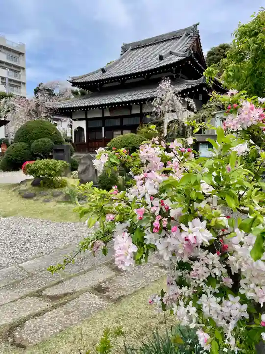 青雲寺(東京都)
