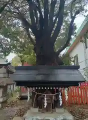 阿部野神社(大阪府)