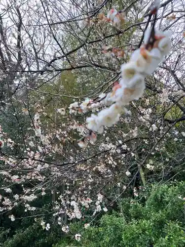 下野 星宮神社(栃木県)