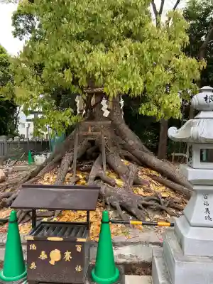大鳥大社の{uncategorized: "未分類", other: "その他", undefined: "問題あり", building: "その他建物", grave: "お墓", sacred_gate: "鳥居", guardian: "狛犬", statue: "像", buddha: "仏像", history: "歴史", nature: "自然", garden: "庭園", animal: "動物", pagoda: "塔", temizu: "手水舎", mountain_gate: "山門・神門", sanctuary: "本殿・本堂", subordinate: "末社・摂社", art: "芸術", scenery: "景色", jizo: "地蔵", ema: "絵馬", goshuin: "御朱印", omikuji: "おみくじ", items: "授与品その他", amulet: "お守り", goshuincho: "御朱印帳", eats: "食事", festival: "お祭り", votive_dance: "神楽", shichigosan: "七五三参", wedding: "結婚式", experience: "体験その他", initially: "初詣", around: "周辺", anti_infection: "感染症対策"}
