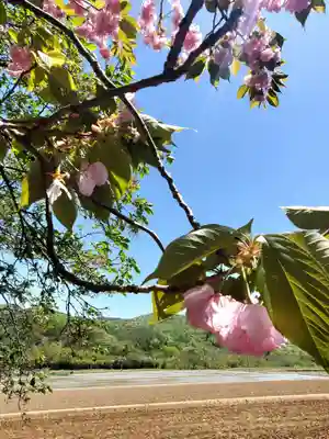 高司神社〜むすびの神の鎮まる社〜(福島県)