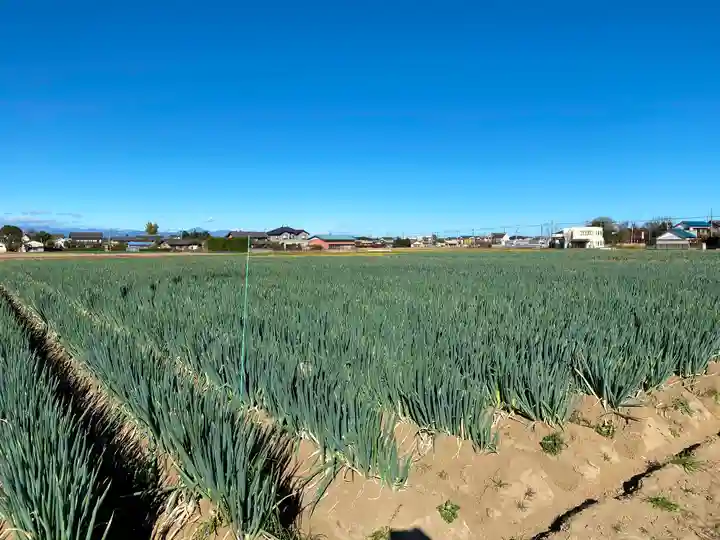 白髪神社の周辺