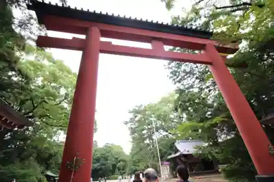 武蔵一宮氷川神社の鳥居