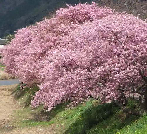 かっぱの寺 栖足寺の自然