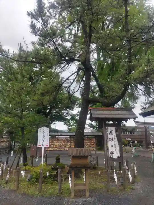 阿蘇神社(熊本県)