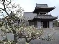 養寿寺(愛知県)