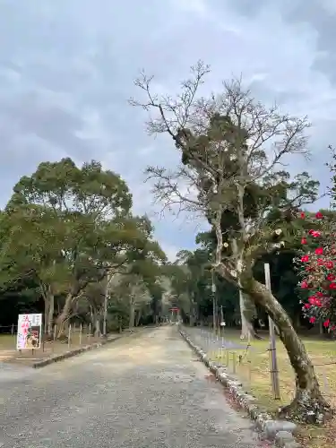 宇佐神宮の{uncategorized: "未分類", other: "その他", undefined: "問題あり", building: "その他建物", grave: "お墓", sacred_gate: "鳥居", guardian: "狛犬", statue: "像", buddha: "仏像", history: "歴史", nature: "自然", garden: "庭園", animal: "動物", pagoda: "塔", temizu: "手水舎", mountain_gate: "山門・神門", sanctuary: "本殿・本堂", subordinate: "末社・摂社", art: "芸術", scenery: "景色", jizo: "地蔵", ema: "絵馬", goshuin: "御朱印", omikuji: "おみくじ", items: "授与品その他", amulet: "お守り", goshuincho: "御朱印帳", eats: "食事", festival: "お祭り", votive_dance: "神楽", shichigosan: "七五三参", wedding: "結婚式", experience: "体験その他", initially: "初詣", around: "周辺", anti_infection: "感染症対策"}