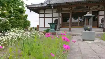 全龍寺の本殿・本堂