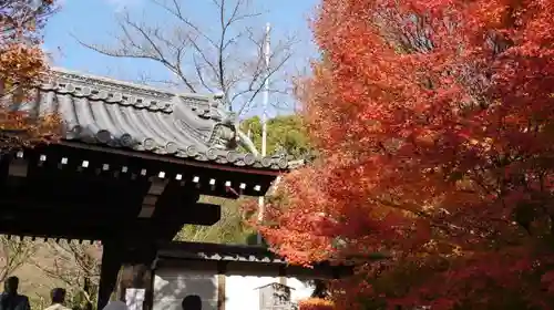 龍安寺の山門