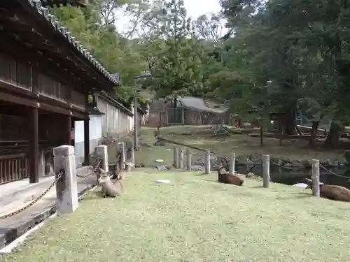 東大寺 法華堂（三月堂）(奈良県)