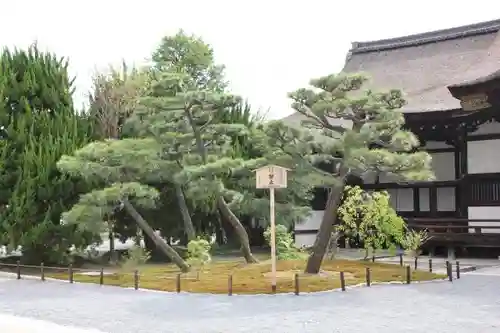 東本願寺（真宗本廟）の庭園