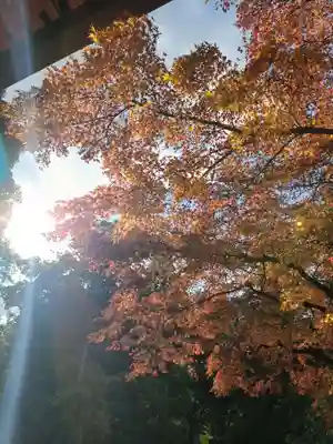 春日大社(奈良県)