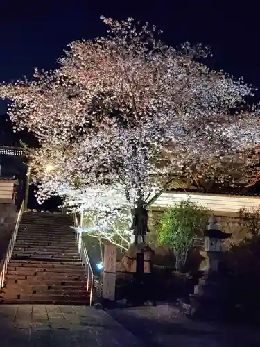 如宝寺(福島県)