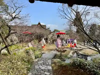 北野天満宮(京都府)