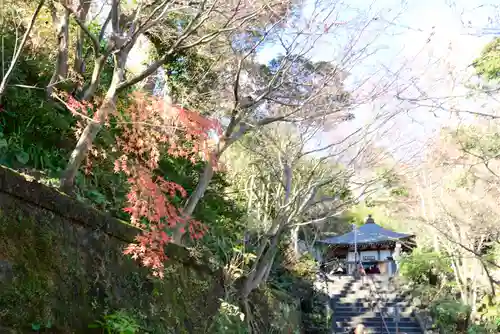 長谷寺の庭園