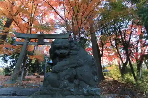 國祖神社の狛犬