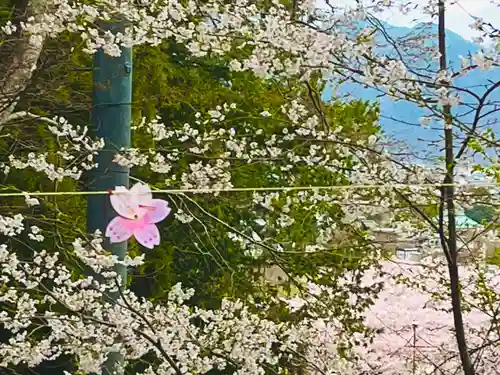 子檀嶺神社のおみくじ