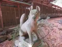 南湖神社の狛犬