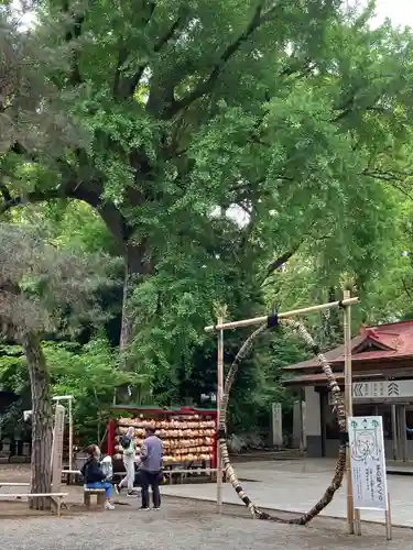 平塚八幡宮(神奈川県)
