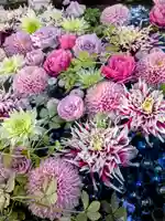 発寒神社(北海道)