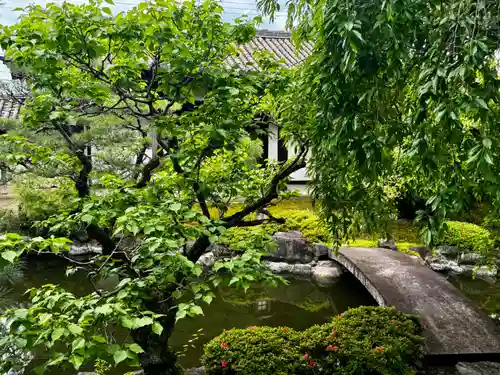 東寺（教王護国寺）の庭園