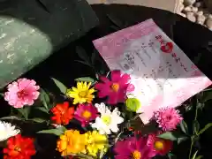 今市報徳二宮神社のおみくじ