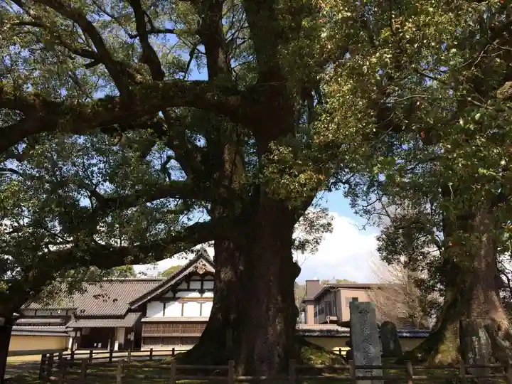 善導寺(福岡県)