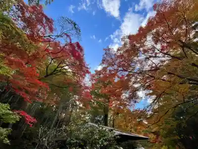 真珠院(神峯山寺塔頭)(大阪府)